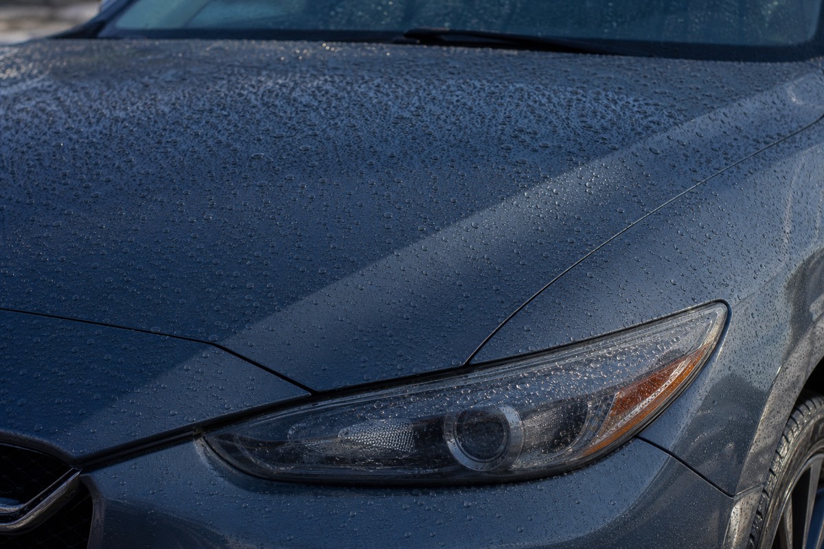 Water droplets beading on a coated car surface